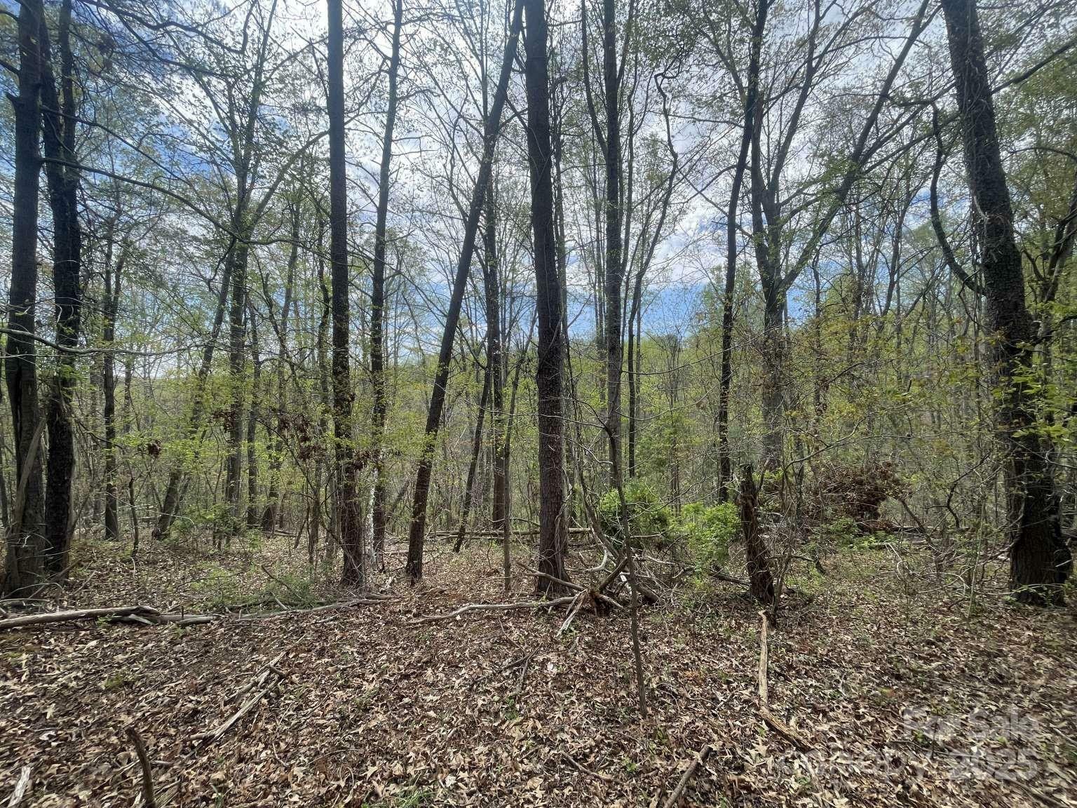 Property Photo: 157 Richmond Ridge Road NC 28806
