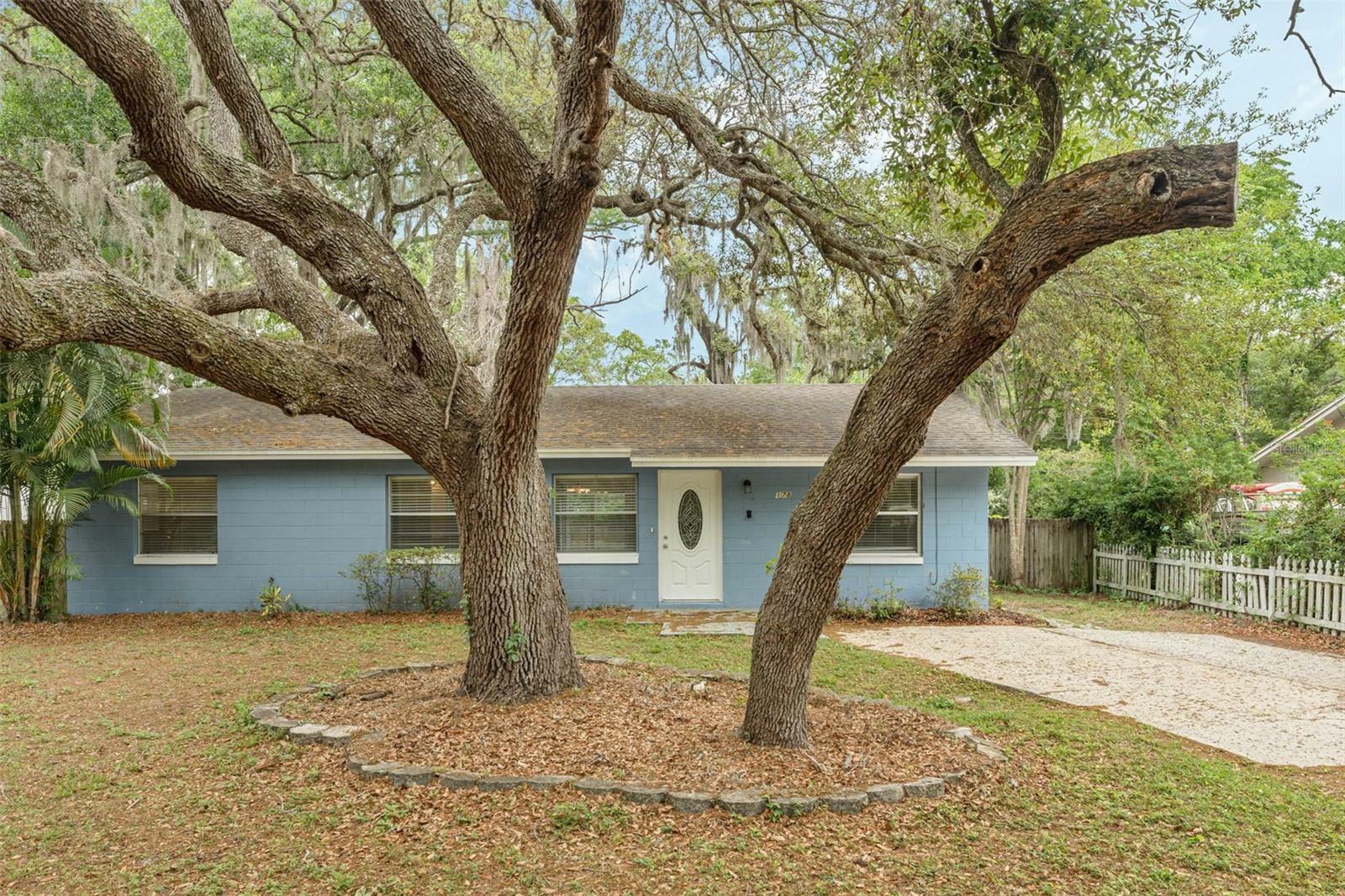 178 E Alma Avenue  Lake Mary FL 32746 photo