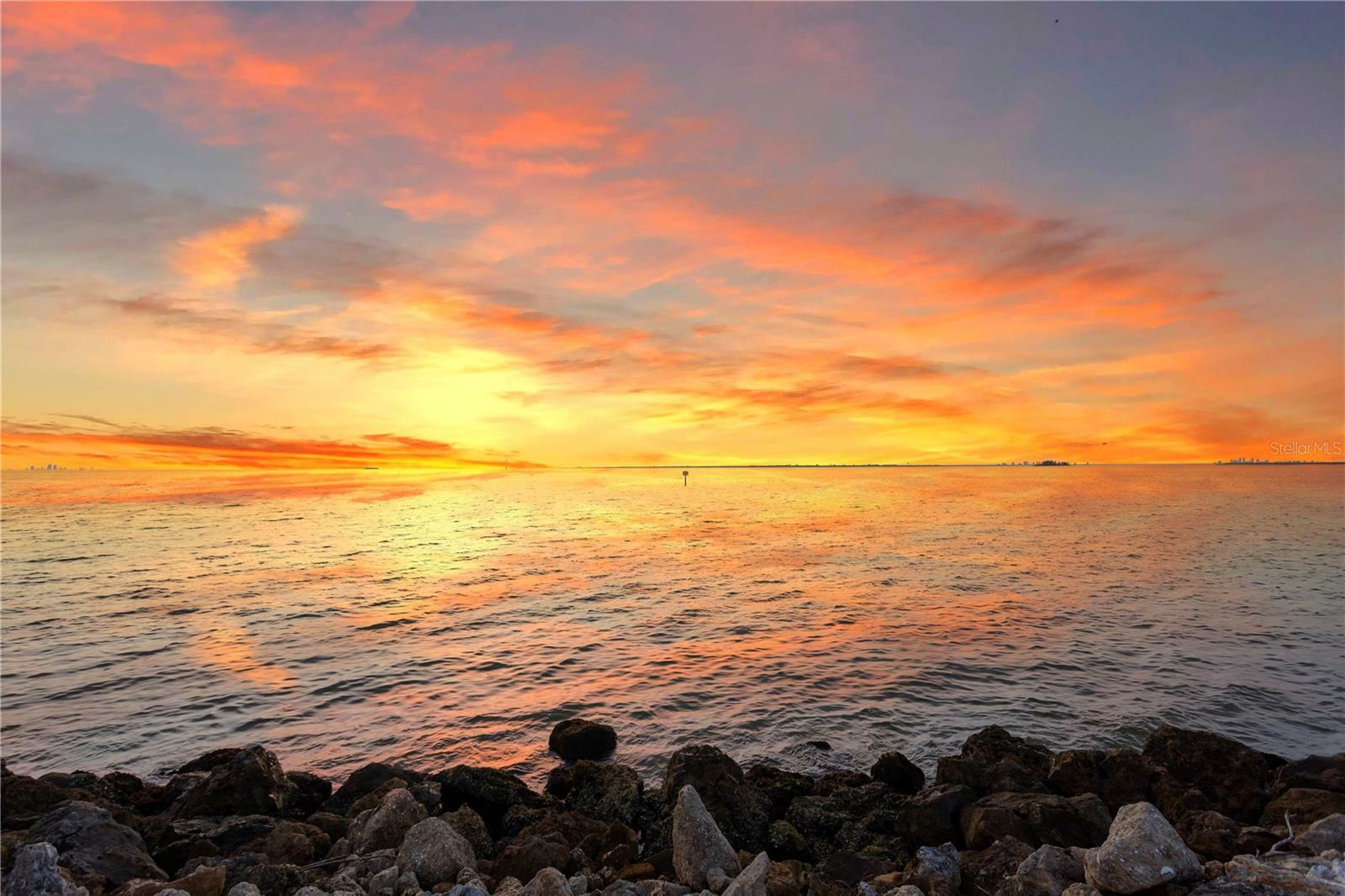 Property Photo:  6106 Marbella Boulevard  FL 33572 