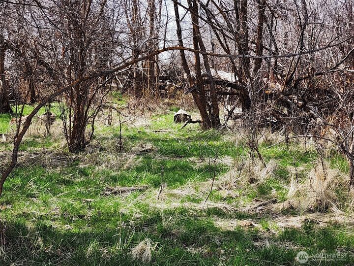 Property Photo:  15800  Reecer Creek Road  WA 98926 
