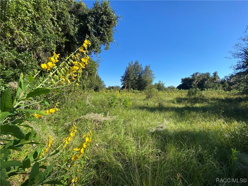 Property Photo:  7373 E Savannah Court  FL 34436 