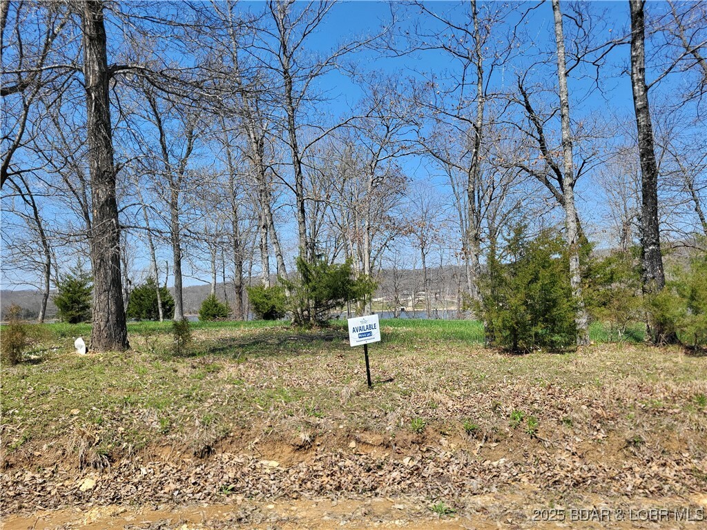 Property Photo: Emerald Hills Drive Phase 4A Lot 2 MO 65326