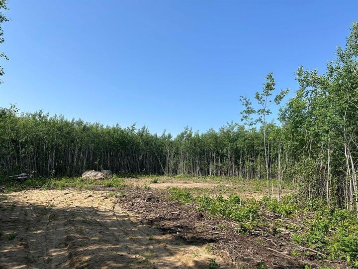 Property Photo: 4 Ironwood Point Road MB R0E 2A0