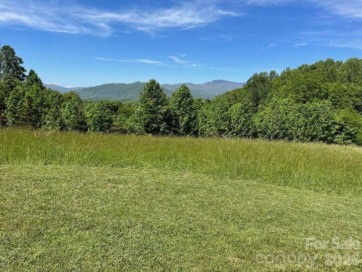 Property Photo: 999 Chestnut Mountain Drive NC 28740
