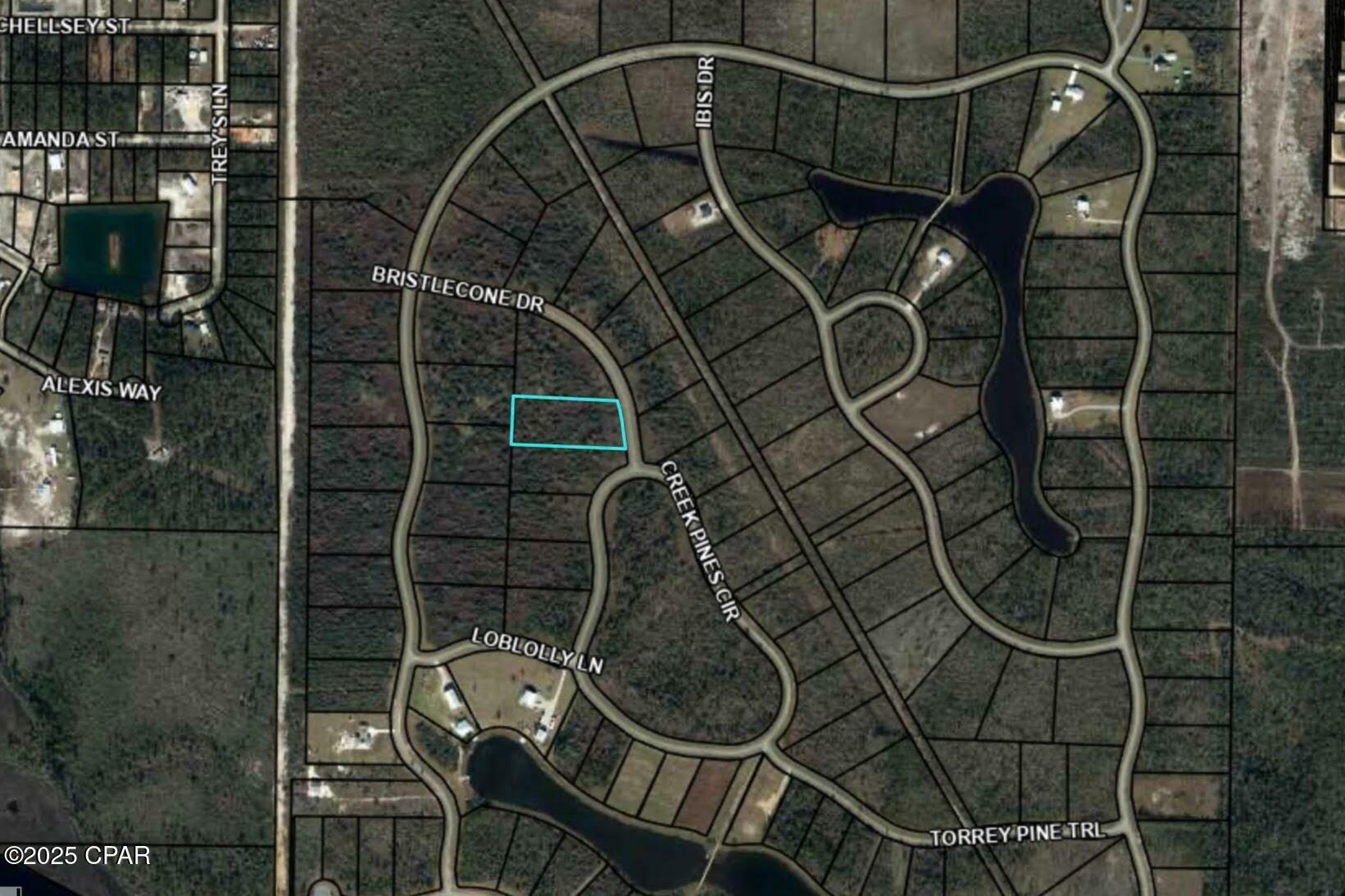 Property Photo:  110 Bristle Cone Drive  FL 32465 