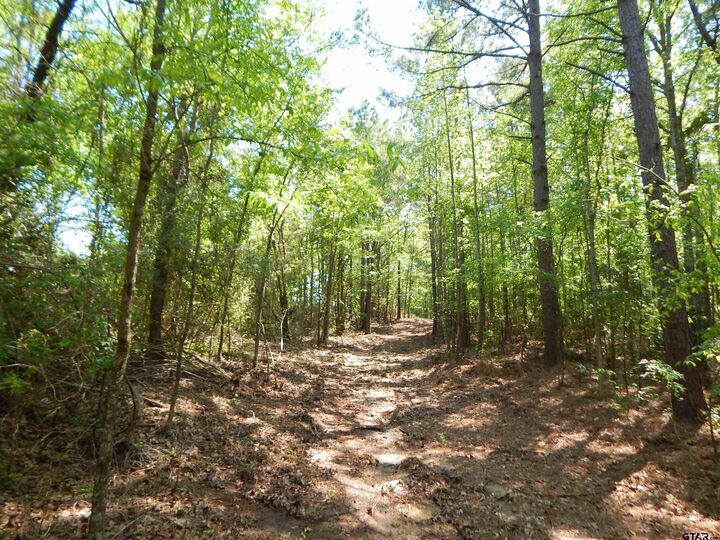 Property Photo: Tbd 15 Acres Fm 1795 Side 2 TX 75755