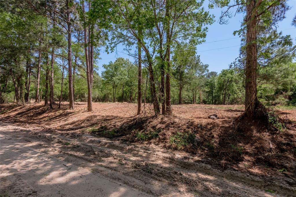 Property Photo:  6077 Tract 1 Cr 4200  TX 75856 