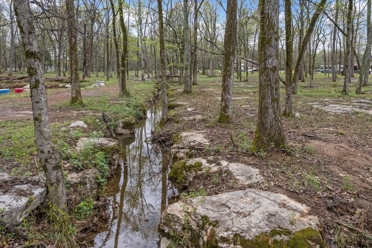 232 Paragon Dr  Bell Buckle TN 37020 photo
