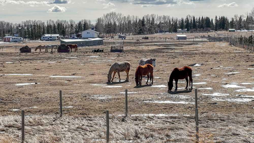 Property Photo: 243201 Range Road 33 AB T3Z 2E6