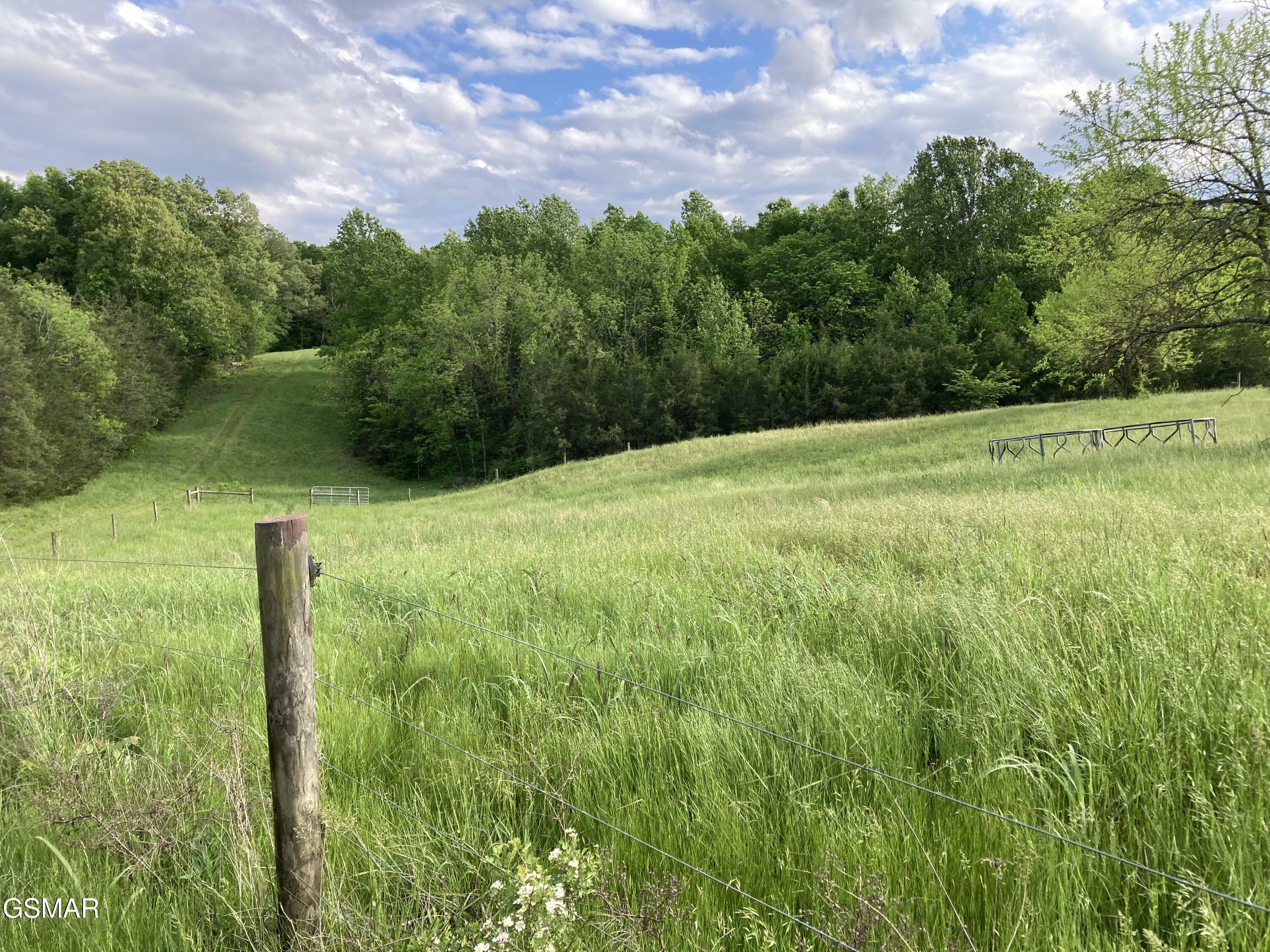 Property Photo: 24.265 S Mohawk Rd TN 37809