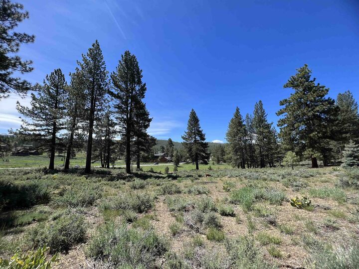Property Photo: 15865 Exeter Court CA 96161-1266