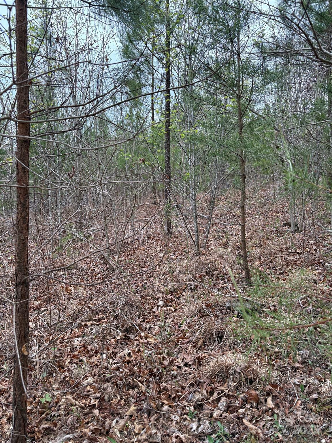 Property Photo:  0 Rose Hollow Drive  NC 28756 