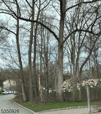 Property Photo: 54 Big Piece Rd NJ 07004