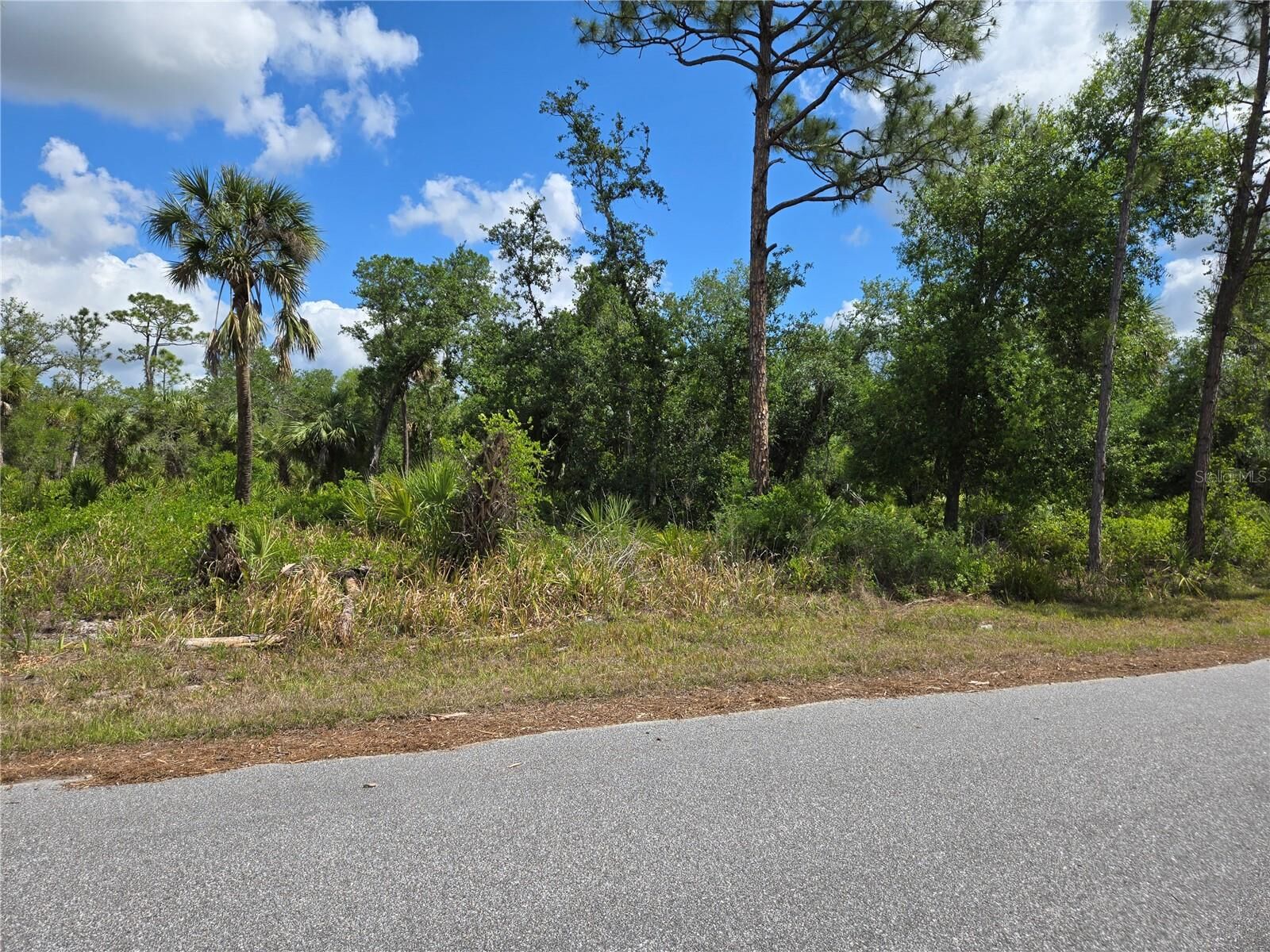 Property Photo:  14432 McMillin Avenue  FL 33953 