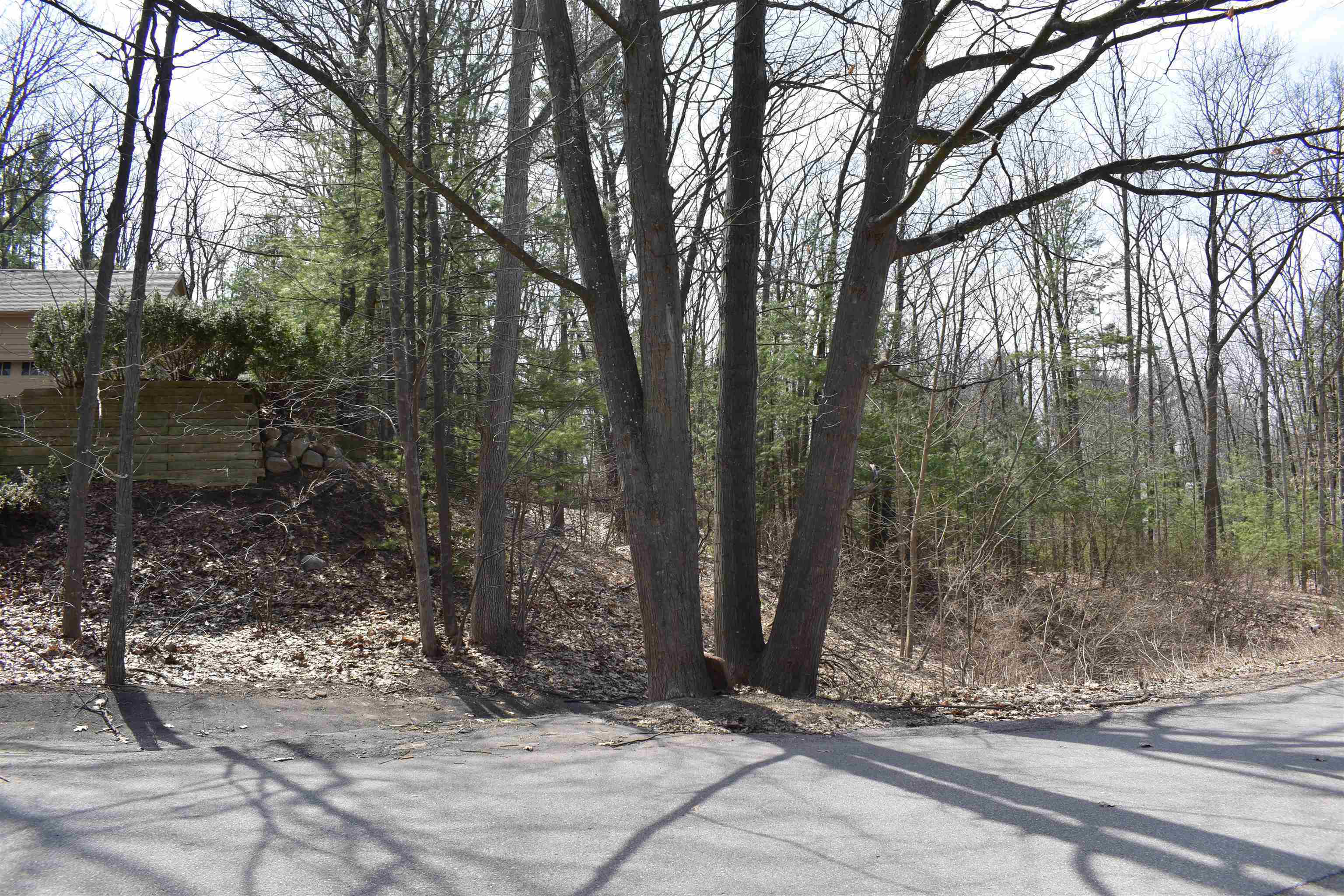Property Photo:  377 Peninsula Knolls Lane  MI 49686 