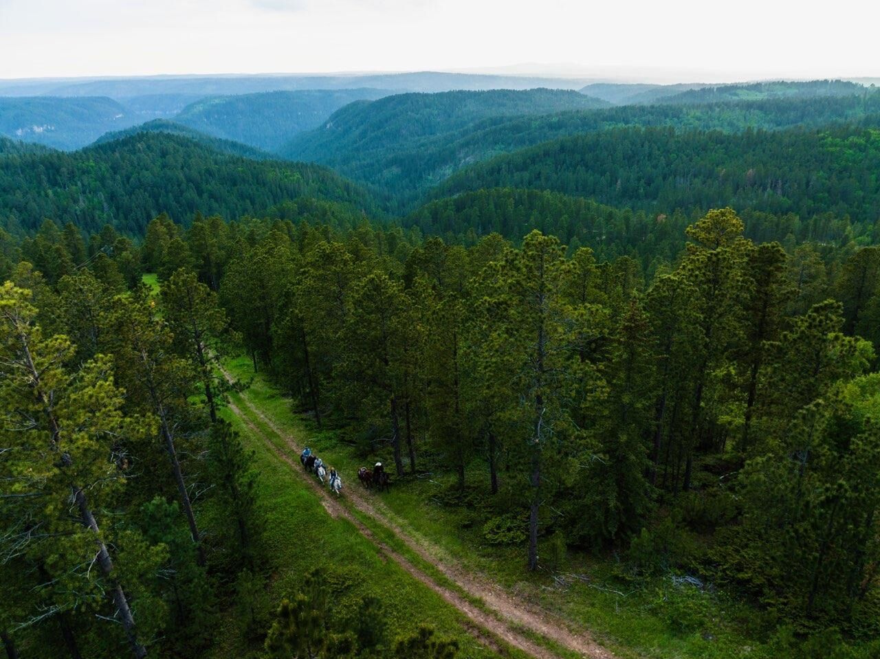 Property Photo: Lot 56 Deer Mountain Road SD 57754