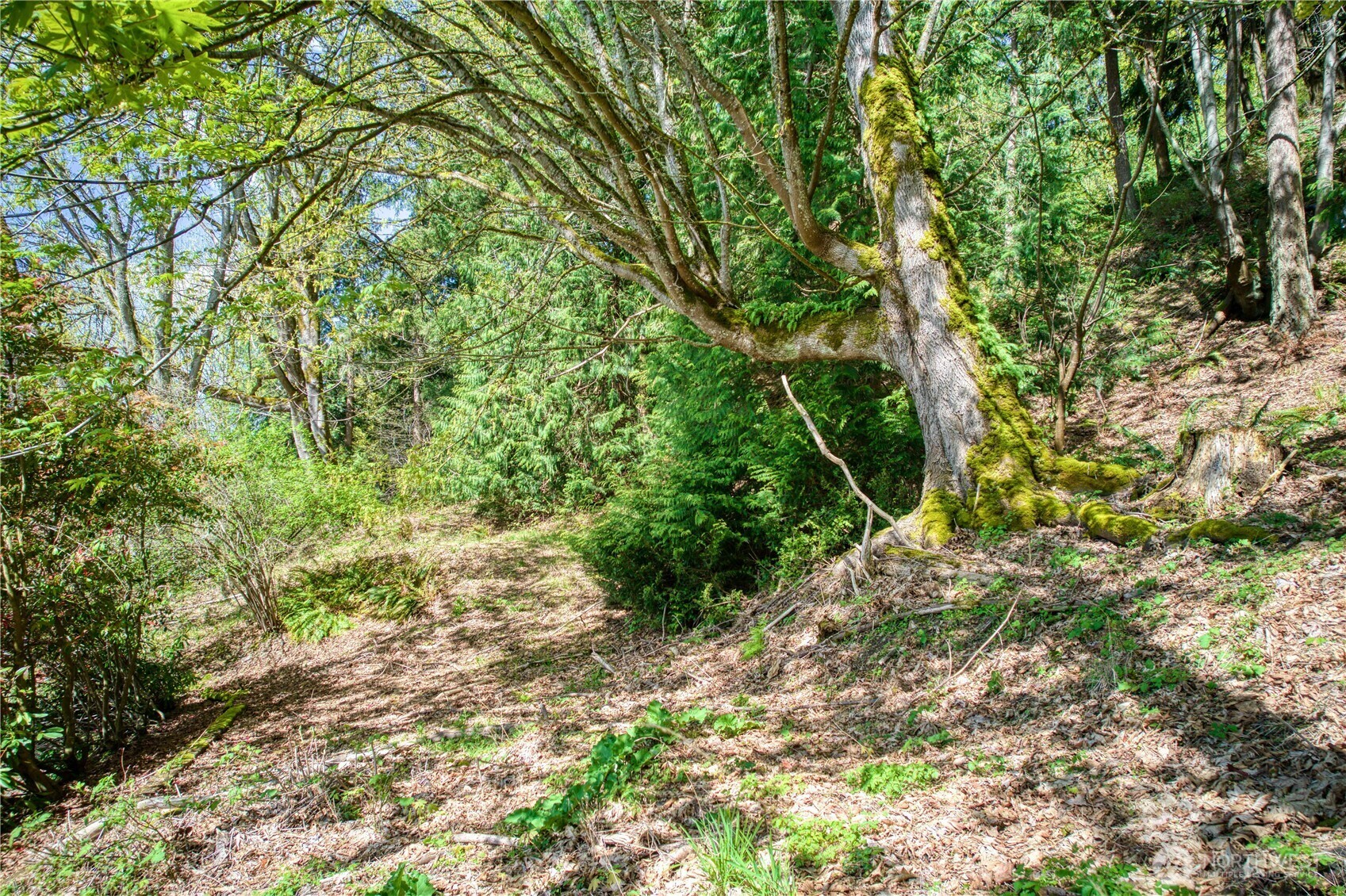 Property Photo: 0 E Lake Sammamish Parkway NE WA 98074
