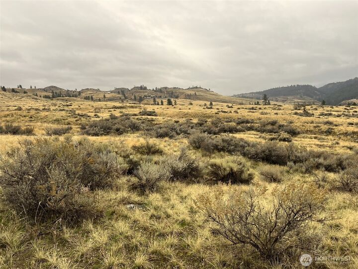 Property Photo: 0 Lot 16 Pine Bluff Road WA 98844