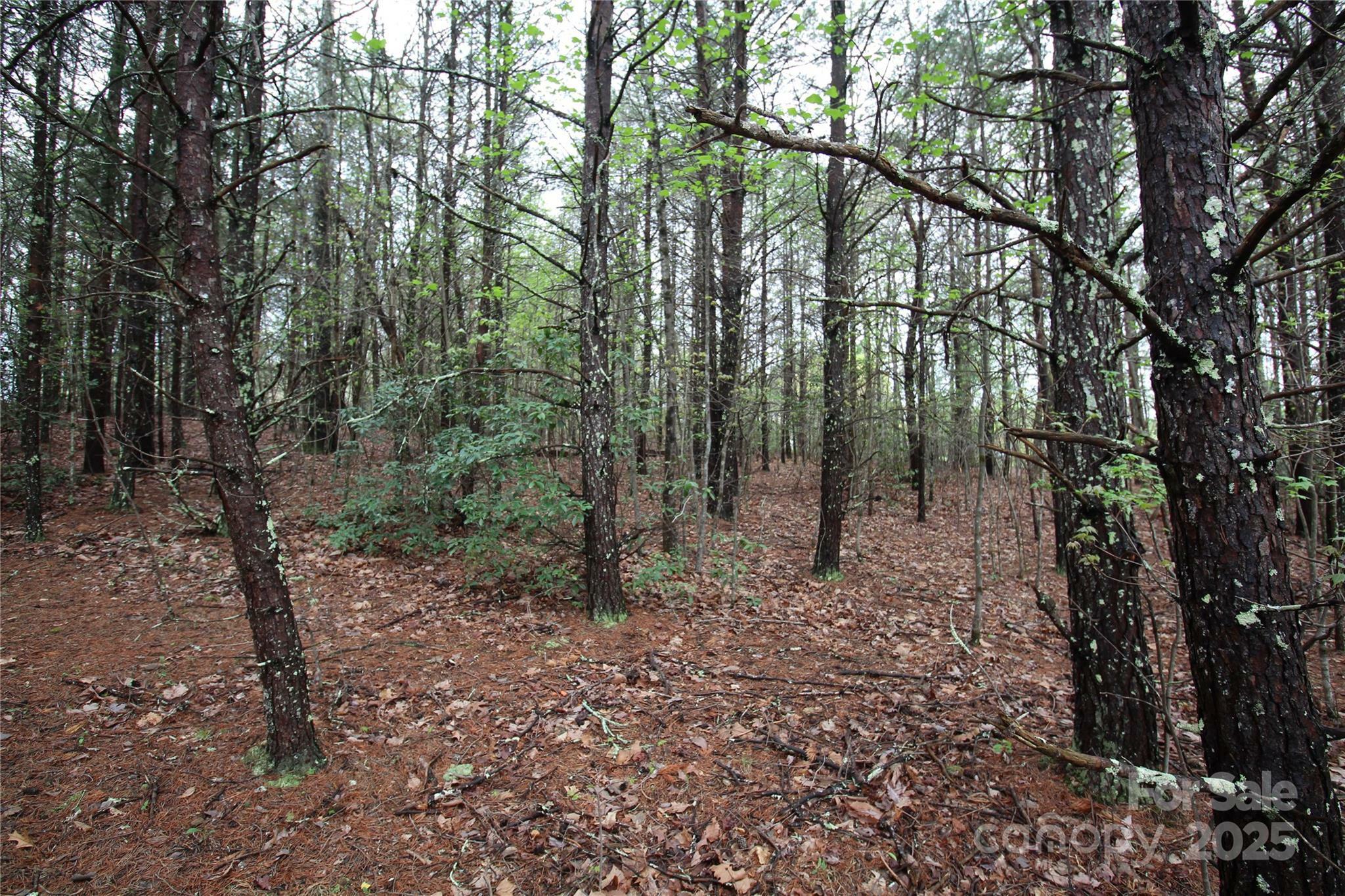 Property Photo: Lot 4 Ridge Way Lot 4 NC 28752