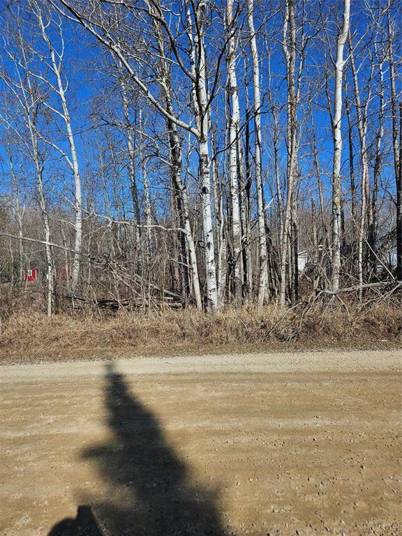 53 Berrywood Bay  Victoria Beach MB R0E 2C0 photo