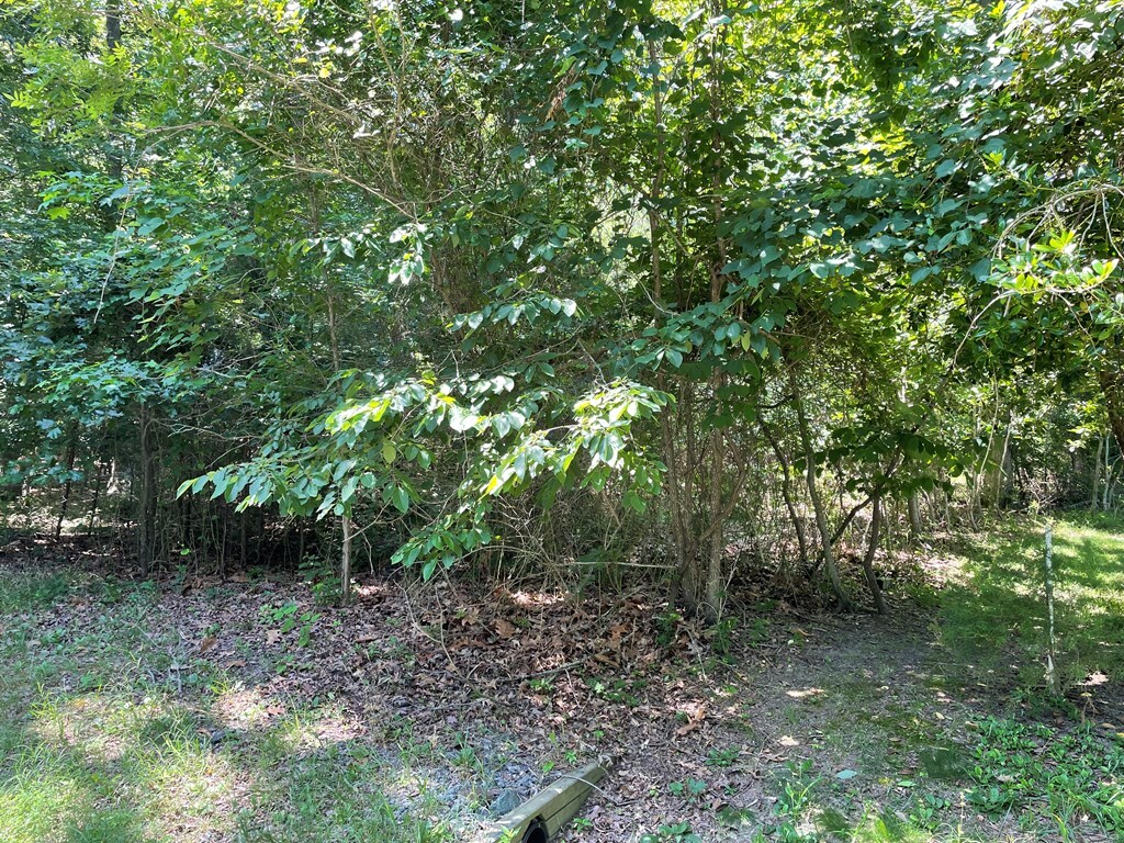Property Photo: 62 Signal Ct VA 23
