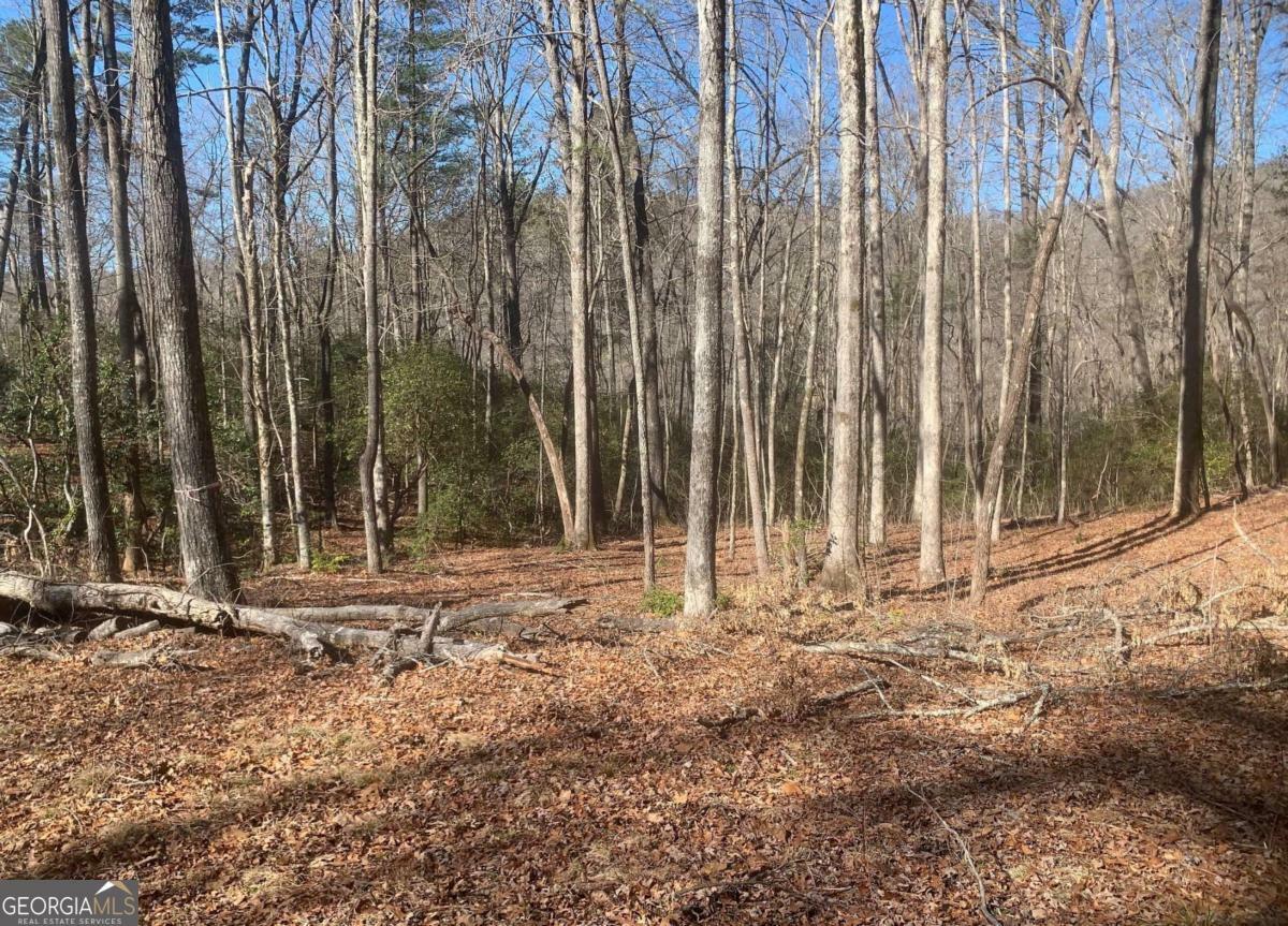 Property Photo:  4 Silverado Lane  GA 30525 