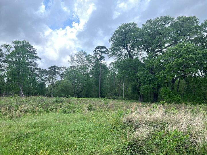 000 N Mlk Drive  Ames TX 77575 photo