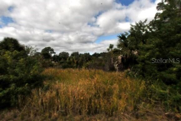 Property Photo:  00 Andris Street  FL 34288 