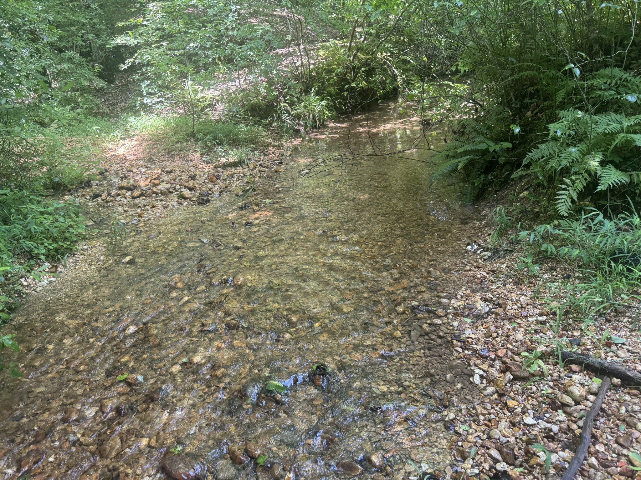 Property Photo: 1 Scott Ln TN 38463