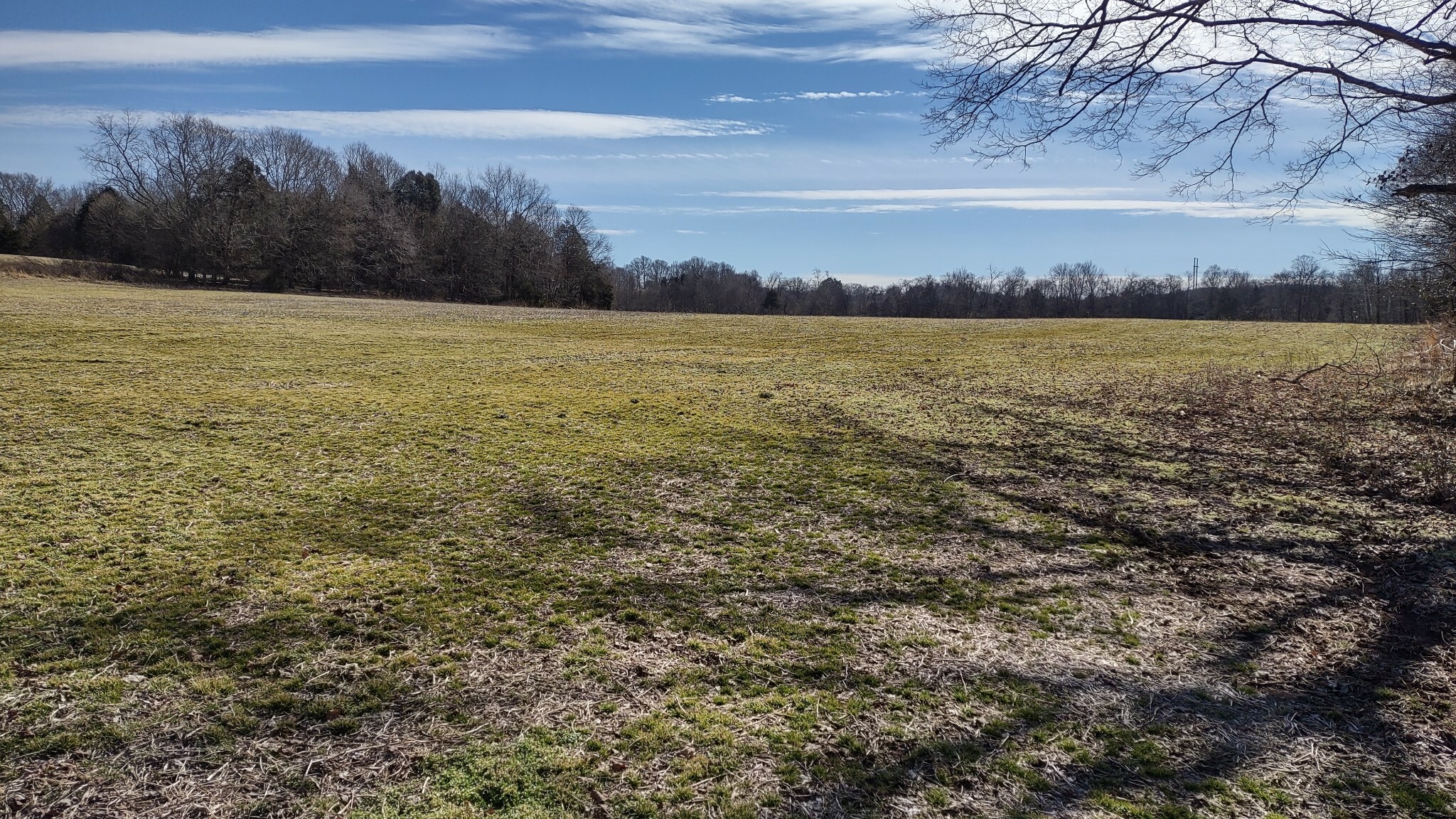 Property Photo:  1448 Governor Hall Rd  TN 37031 