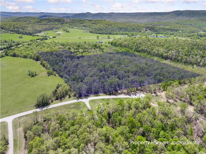Property Photo:  White River Valley  AR 72653 