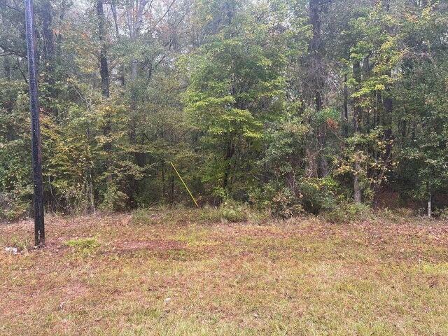 Property Photo: Jarrell Loop LA 70639