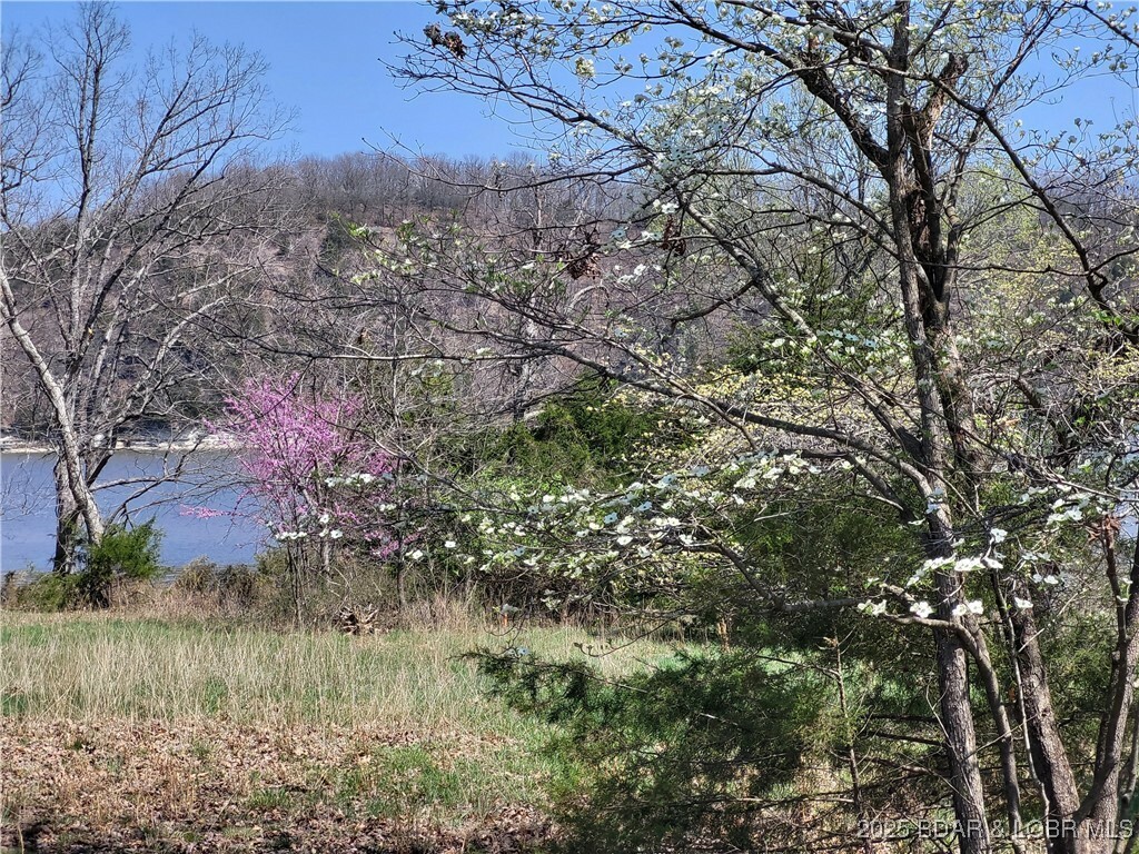 Property Photo: Emerald Hills Drive Phase 4 Lot 4 MO 65326