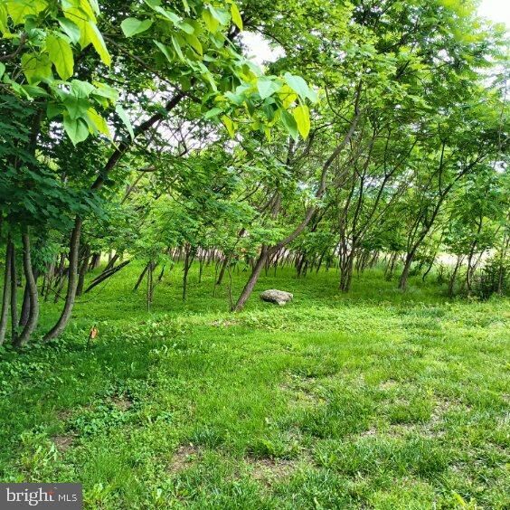 Property Photo: 0 Leisczs Bridge Road PA 19605