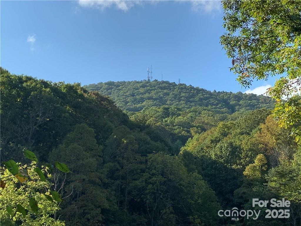 Property Photo: 107 Rice Road 9 NC 28806