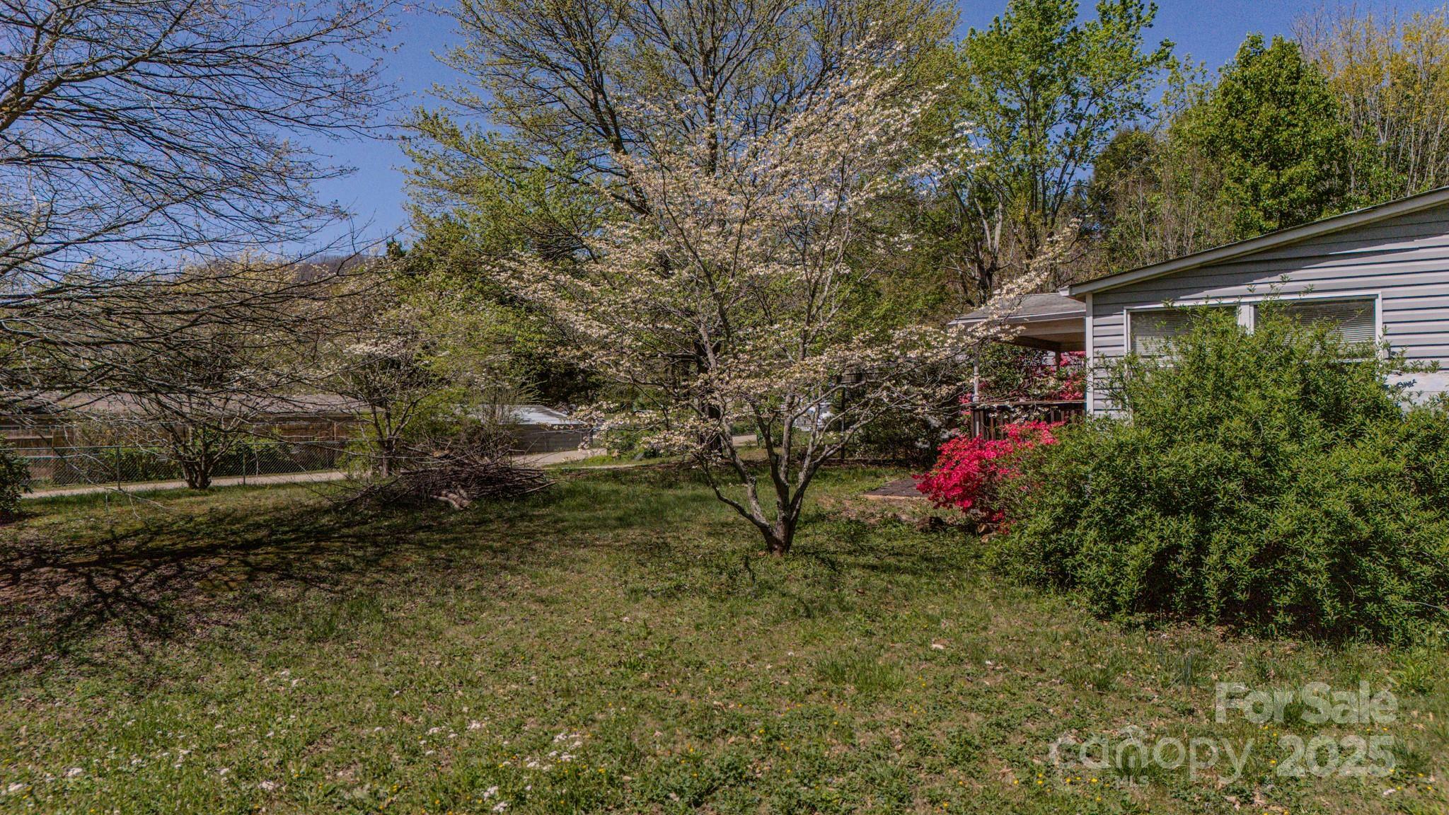 Property Photo: 19 Blackberry Lane NC 28715