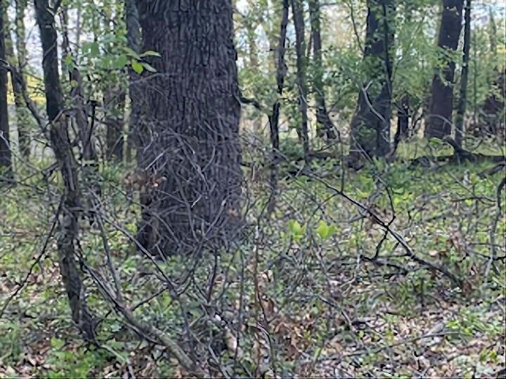 Property Photo:  10411 Cynthia Lane  IN 46392 