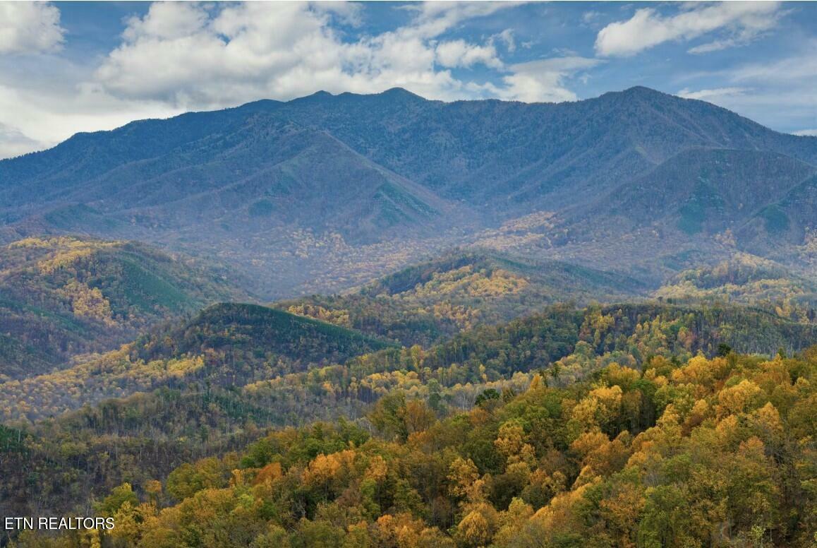 Property Photo: 809 Crystal Branch Way TN 37738