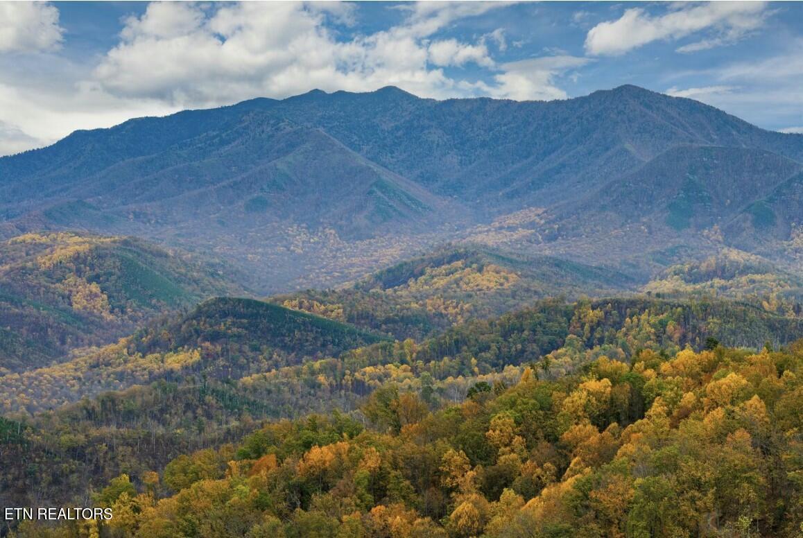 Property Photo: 809 Crystal Branch Way TN 37738