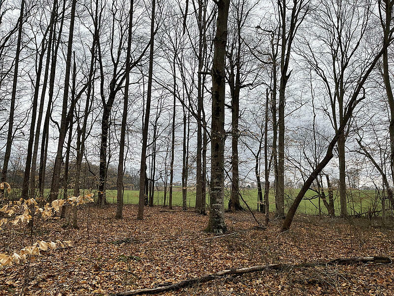 Property Photo: Lot 206 Stillwater KY 42642