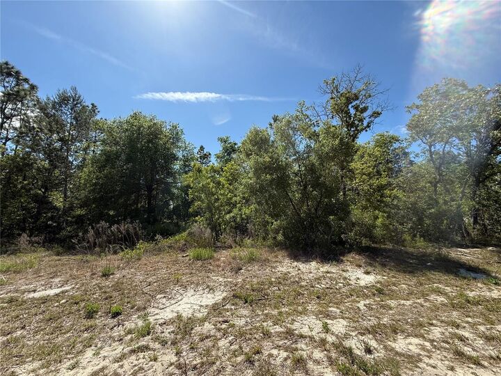 N/A SW 89th Terrace  Dunnellon FL 34432 photo