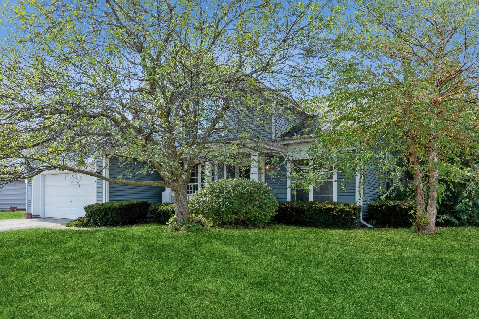 233 Mondovi Drive  Oswego IL 60543 photo