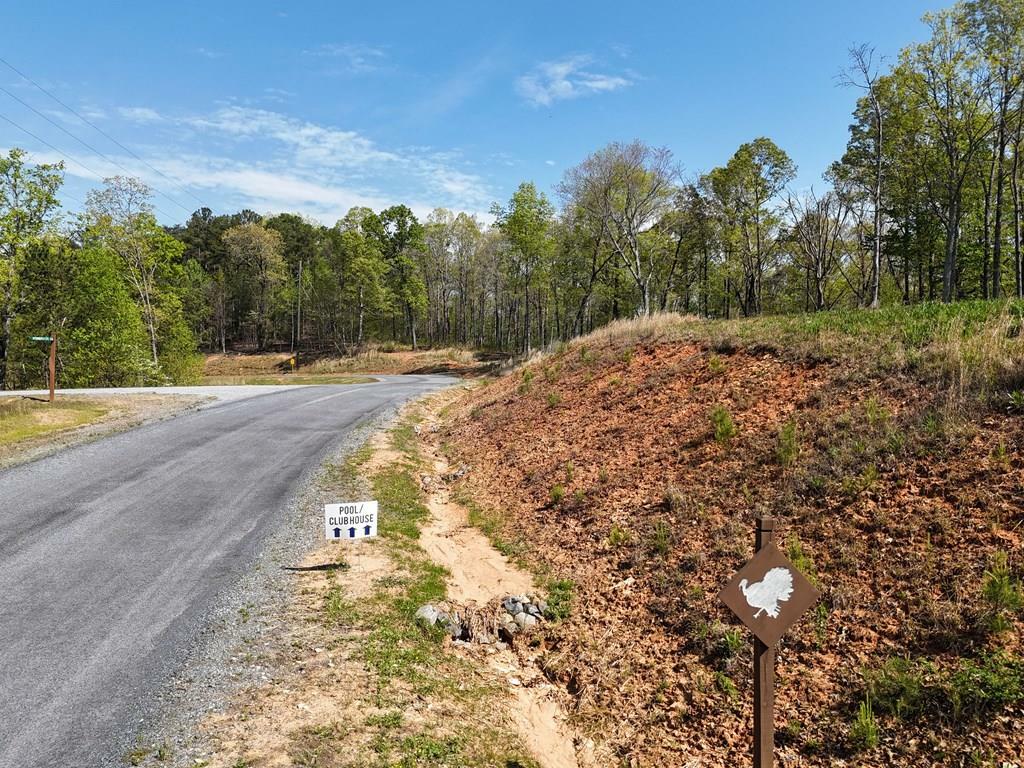 Property Photo: Lot 20 Blalock Mountain Road GA 30540