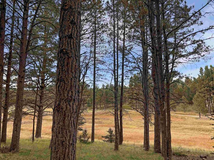 Property Photo:  Lot 1133 Spyglass Hill Rd  NM 87710 
