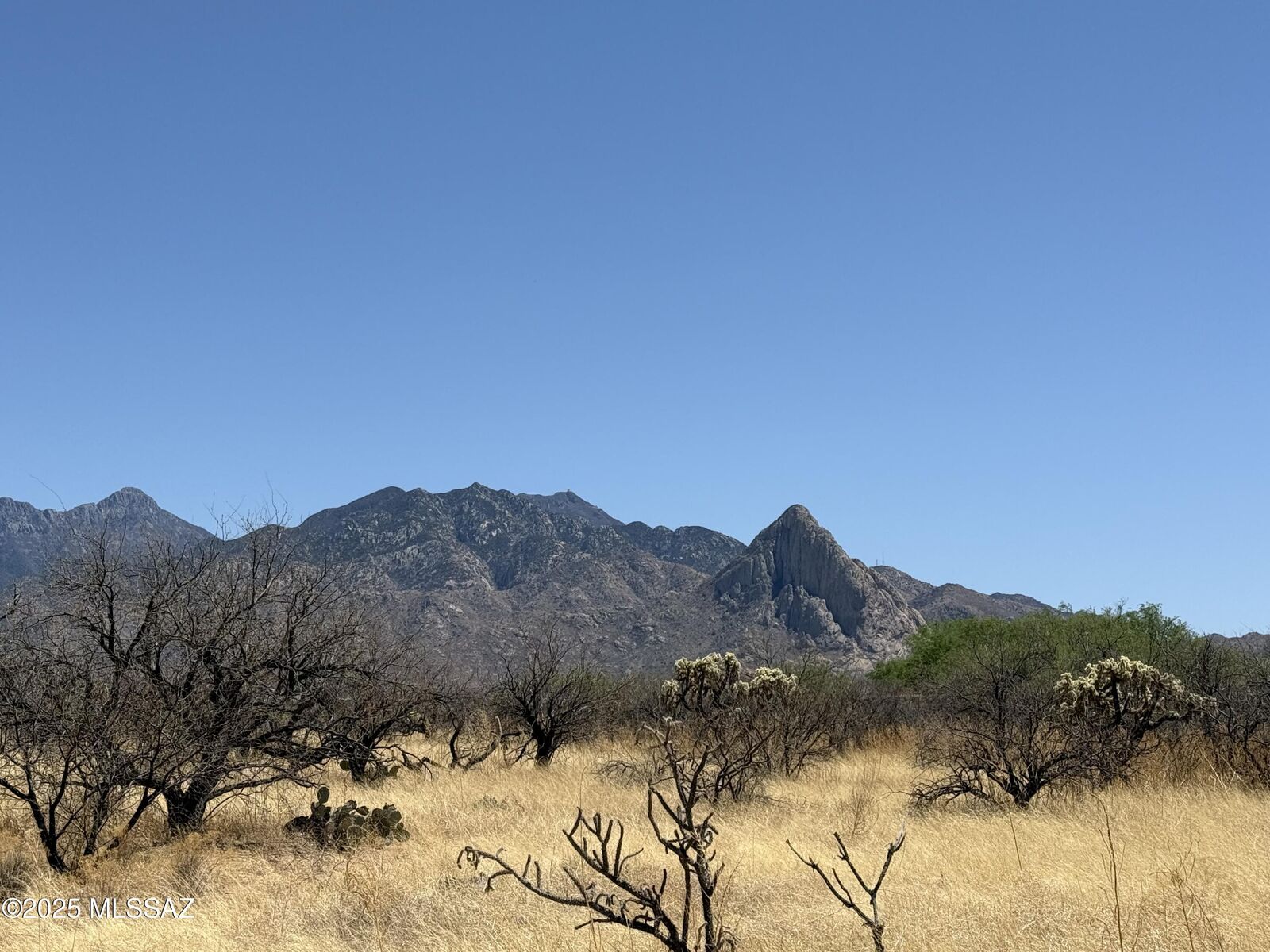 Property Photo: 657 W Hawk Way 19D AZ 85645