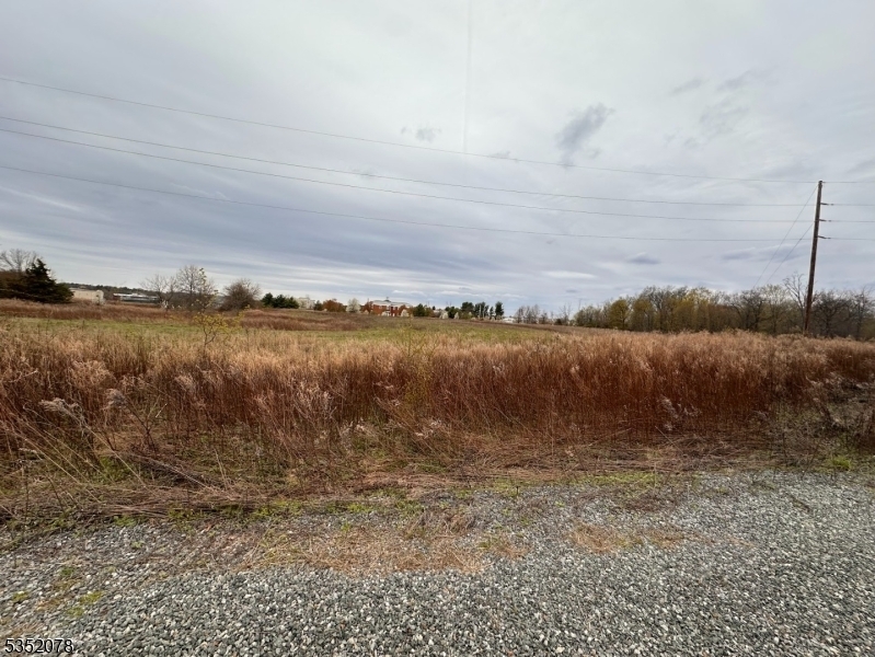 29 Royal Rd  Raritan Twp. NJ 08822 photo