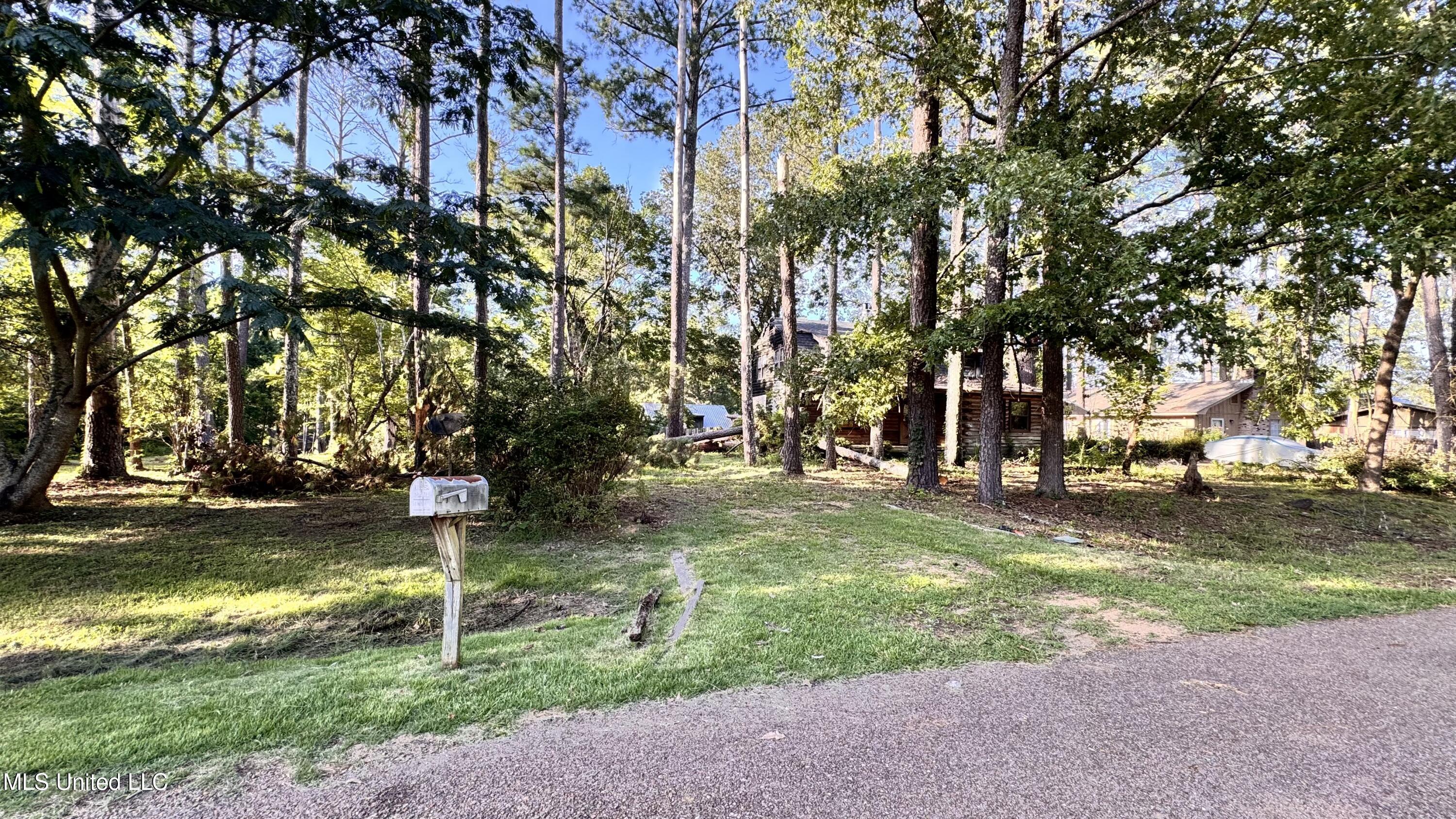 Property Photo: 1414 Cherrie Avenue MS 39212