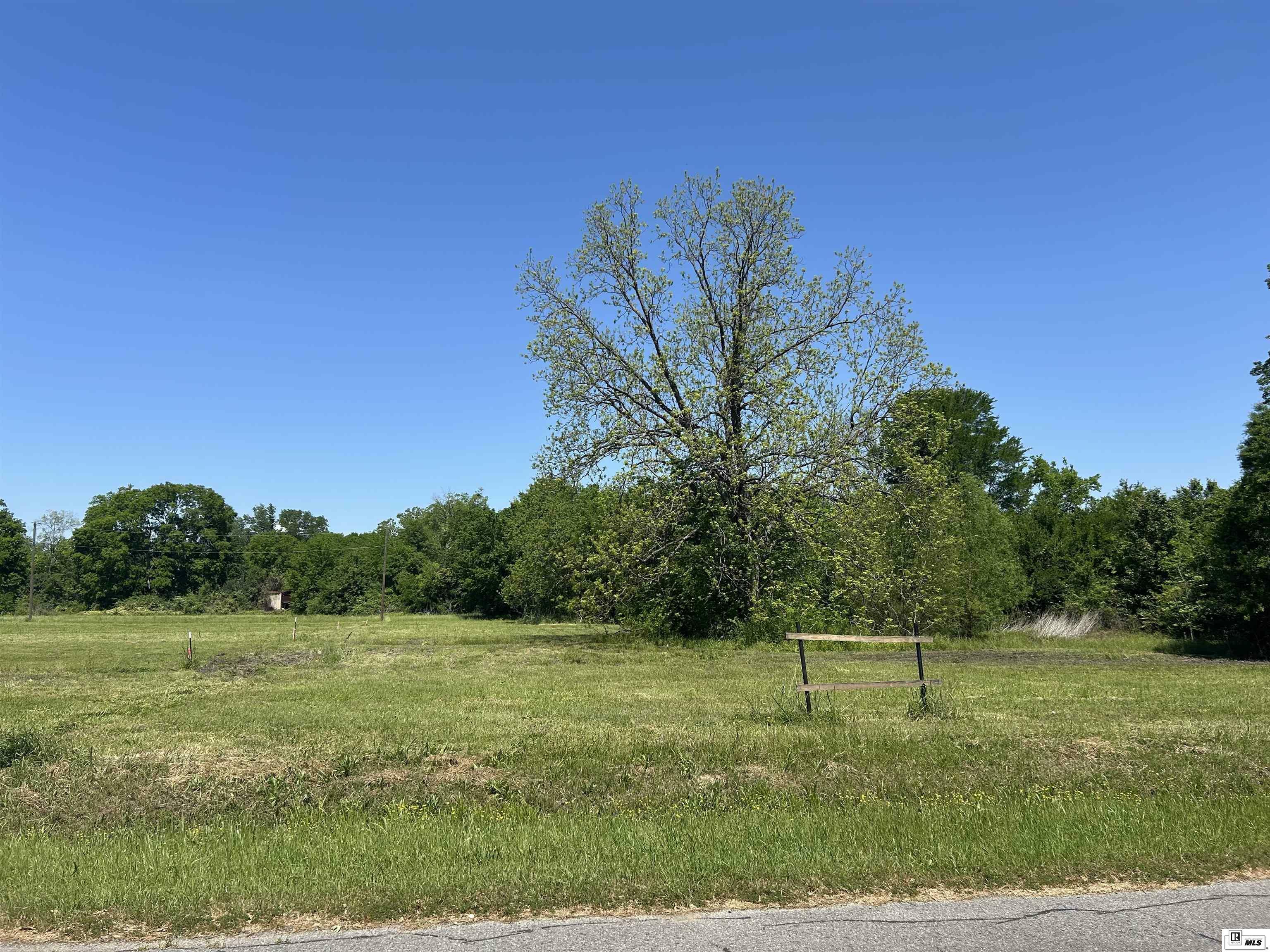 Property Photo:  203 S 12th  Street  LA 71201 