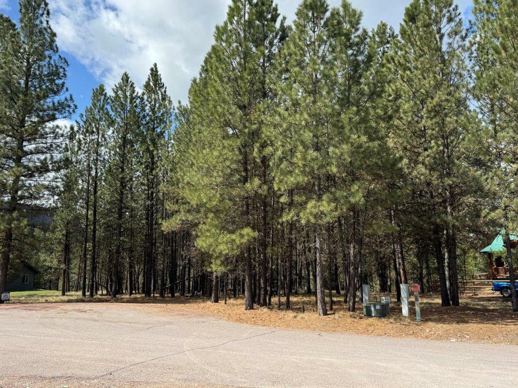 Tbd Dunham Court  Seeley Lake MT 59868 photo