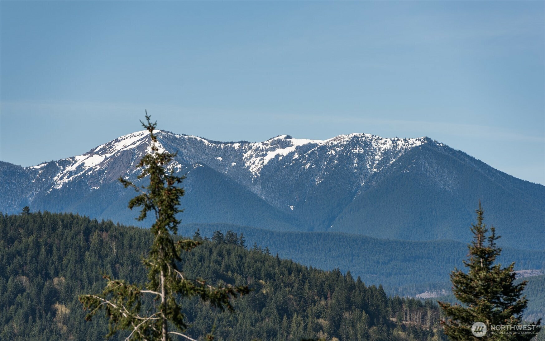 Property Photo: 1573 Doe Run Road WA 98382